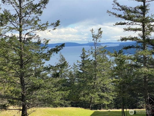 9 TOMIHI DR, EASTSOUND, WA 98245 - Image 53d2c8ba1073bd2ce462356971a2d15e/1051877127