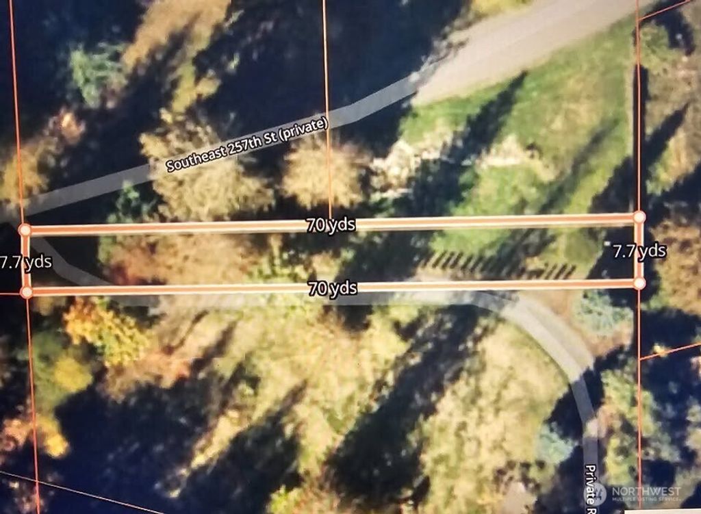 Photo of 12 353rd Avenue SE, Ravensdale, WA 98051 (MLS # 2459345)