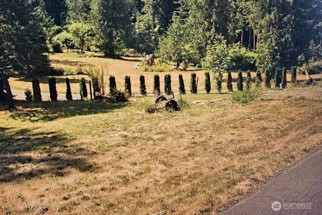 Photo of 12 353rd Avenue SE, Ravensdale, WA 98051 (MLS # 2459345)