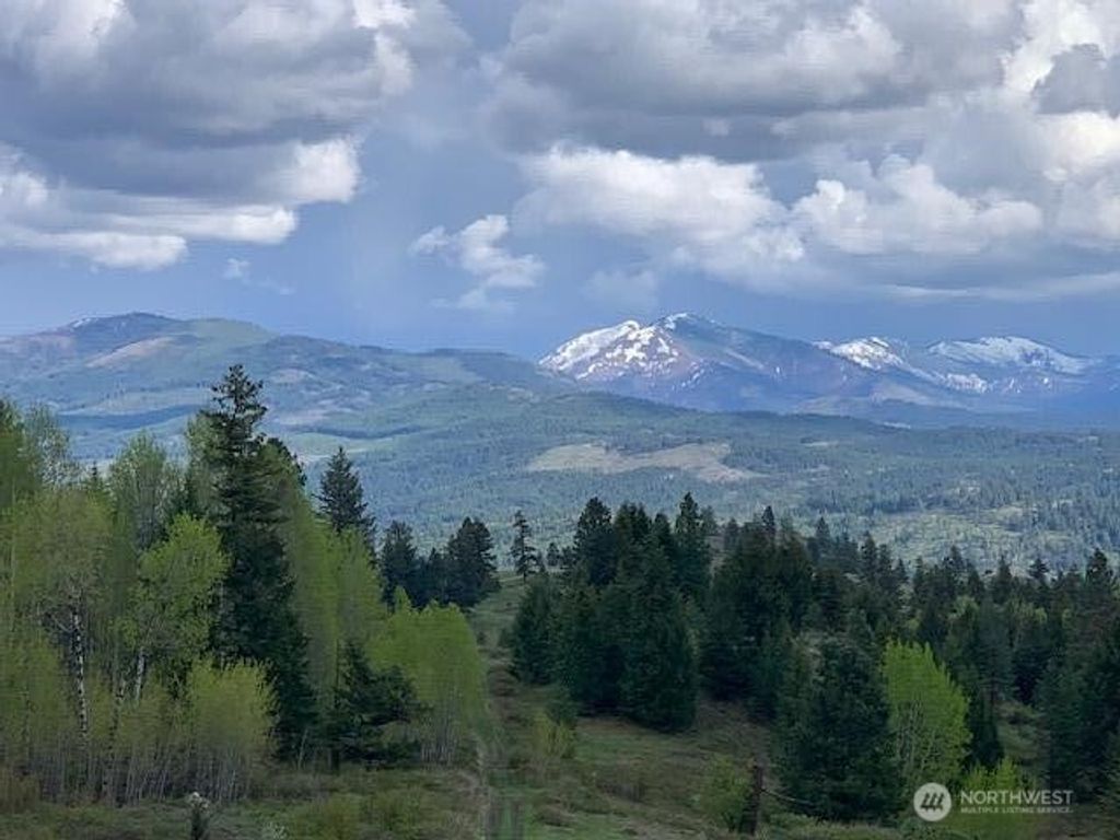 Photo of 354 Vulcan Mountain Road, Curlew, WA 99118 (MLS # 2505306)