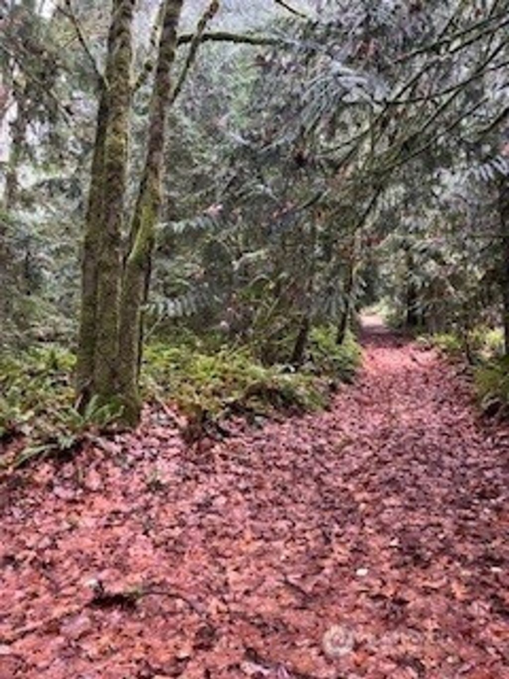 Photo of 0 Glenwood Road SW, Port Orchard, WA 98366 (MLS # 2457669)