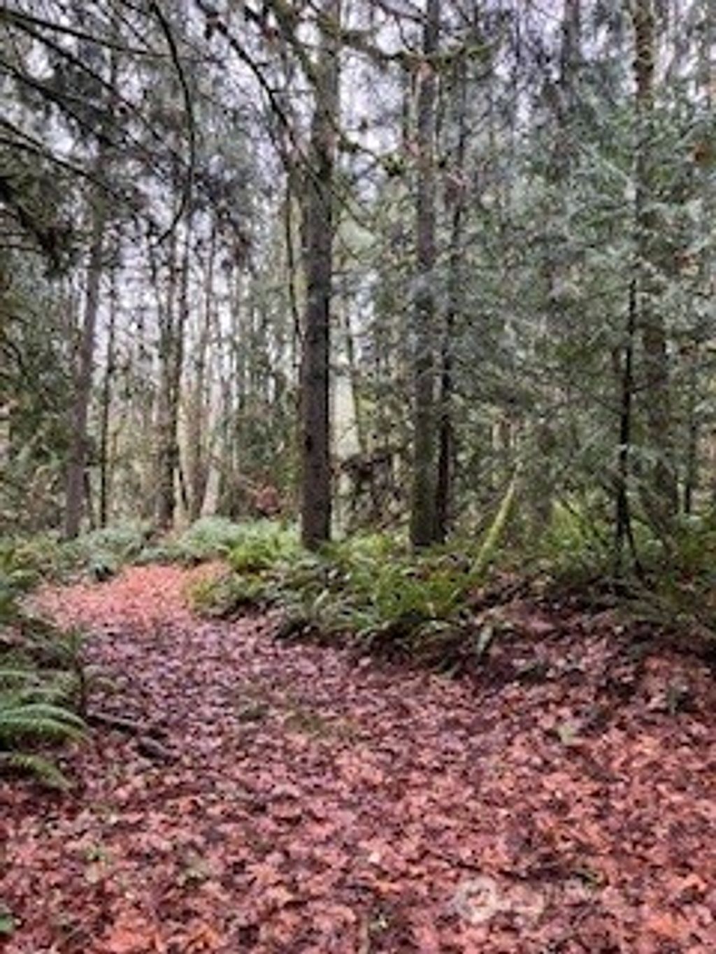 Photo of 0 Glenwood Road SW, Port Orchard, WA 98366 (MLS # 2457669)