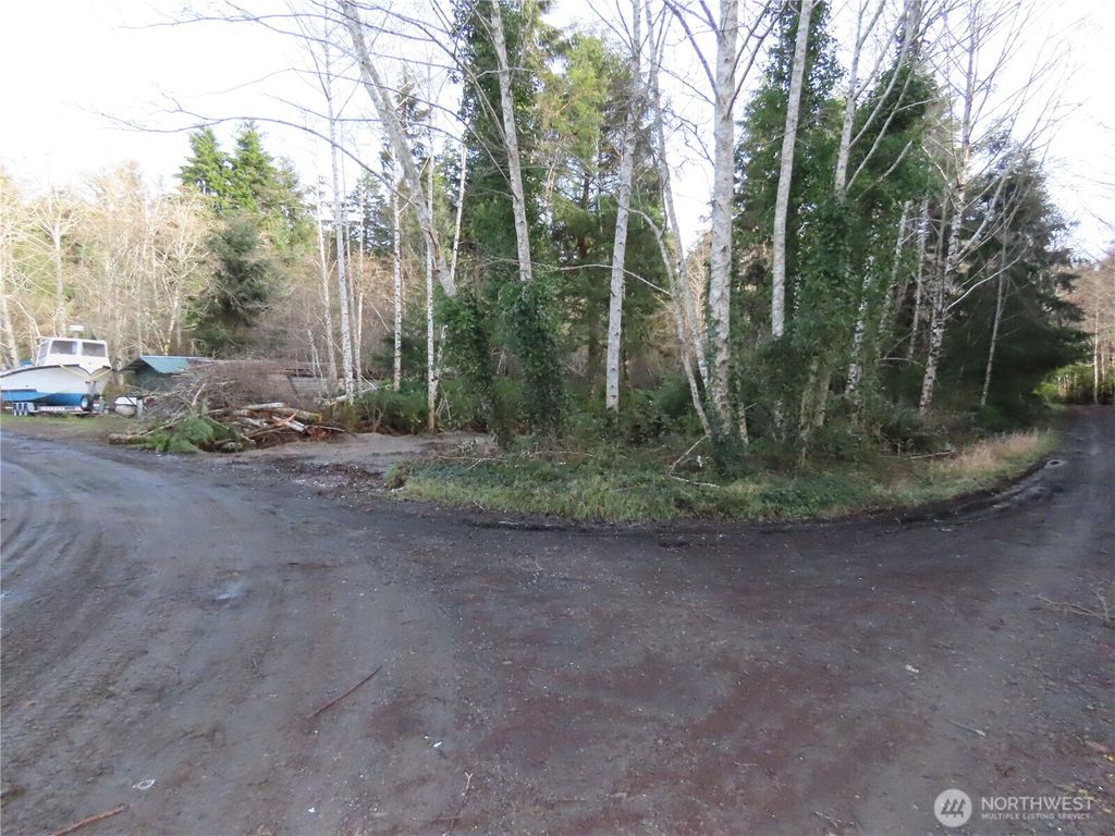 Photo of 0 Oregon Lane, Ocosta, WA 98520 (MLS # 2460444)