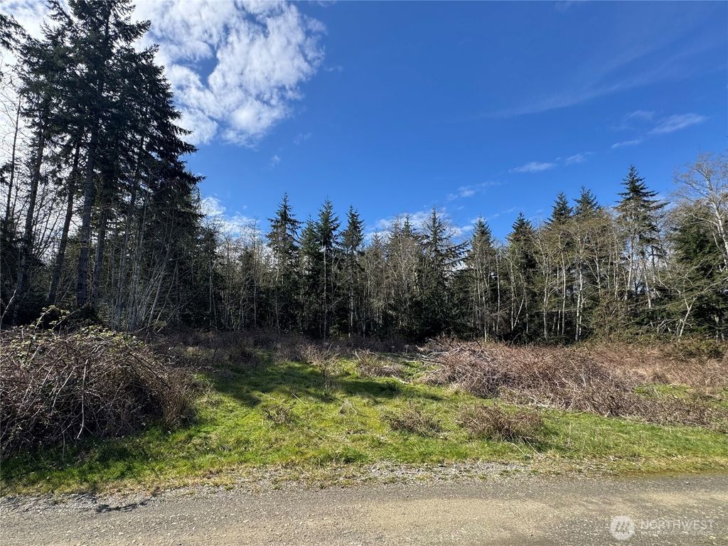 Photo of 1 XX E Case View Place, Shelton, WA 98584 (MLS # 2502369)
