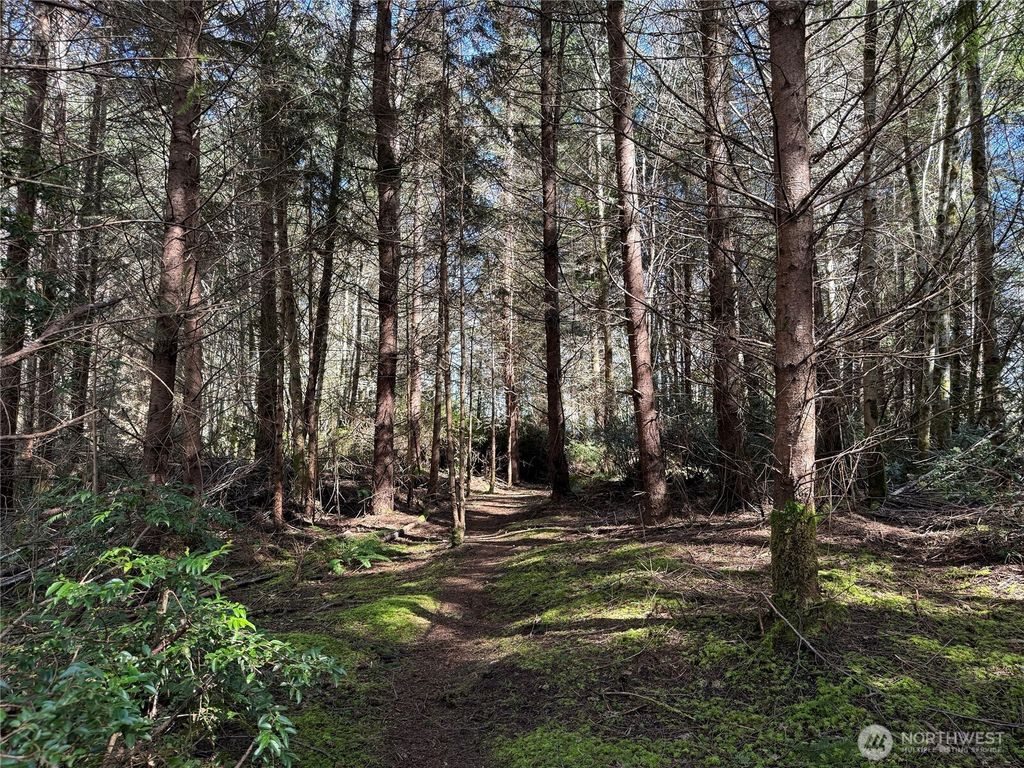 Photo of 1 XX E Case View Place, Shelton, WA 98584 (MLS # 2502369)