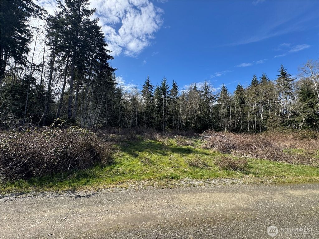Photo of 1 XX E Case View Place, Shelton, WA 98584 (MLS # 2502369)