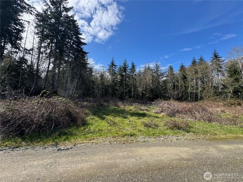 Photo of 1 XX E Case View Place, Shelton, WA 98584 (MLS # 2502369)
