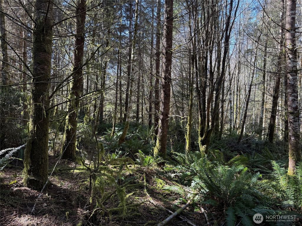 Photo of 1 XX E Case View Place, Shelton, WA 98584 (MLS # 2502369)