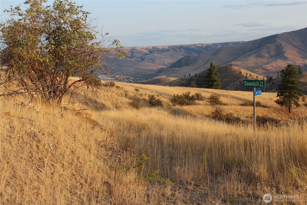 Photo of 0 XX Downhill Lane, Chelan, WA 98816 (MLS # 2507001)