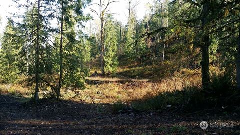 151 Wilkeson-Spiketon Rd (Lot 3) Wilkeson WA 98396