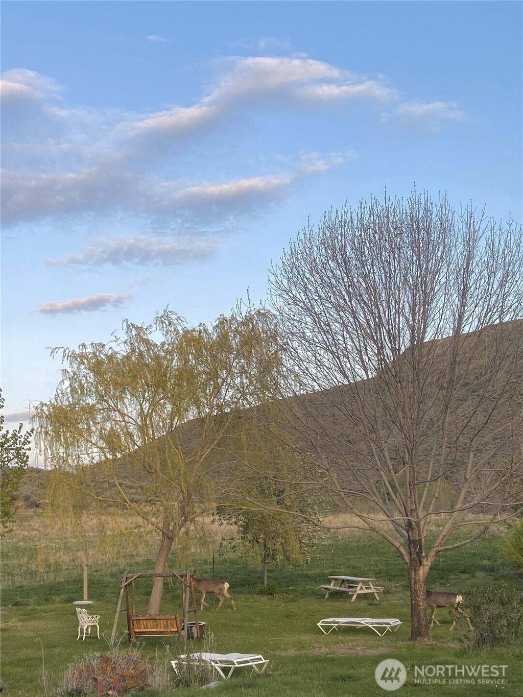 Photo of 87 Applejack Road, Tonasket, WA 98855 (MLS # 2482528)