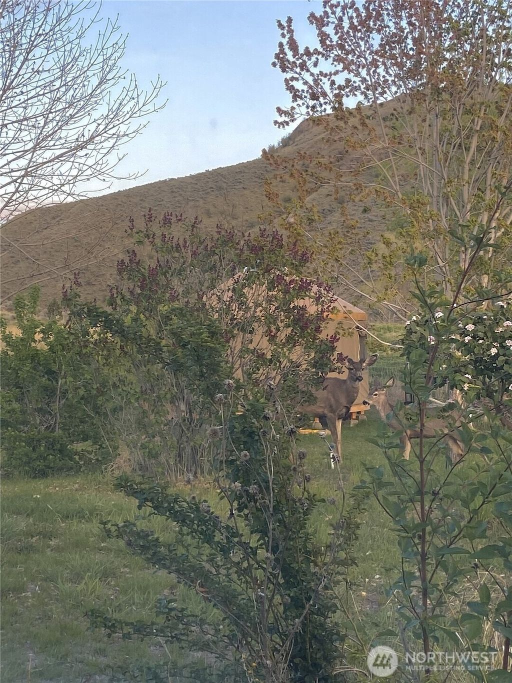 Photo of 87 Applejack Road, Tonasket, WA 98855 (MLS # 2482528)