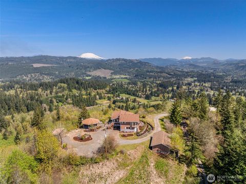18010 NE 391st Street Amboy WA 98601