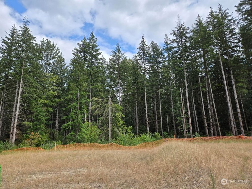 Photo of 33688 205 Basswood Avenue SE, Black Diamond, WA 98010 (MLS # 2278081)