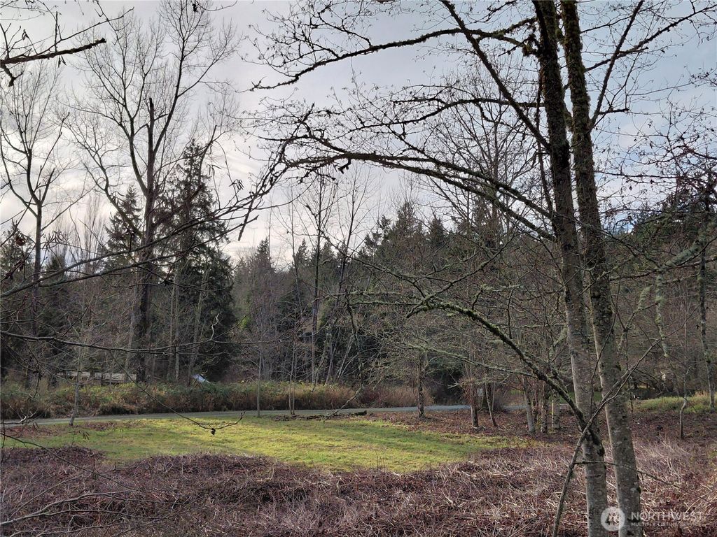 Photo of 22204 NW Mount Vernon Big Lake Road, Mount Vernon, WA 98274 (MLS # 2491820)