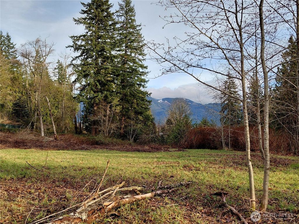 Photo of 22204 NW Mount Vernon Big Lake Road, Mount Vernon, WA 98274 (MLS # 2491820)