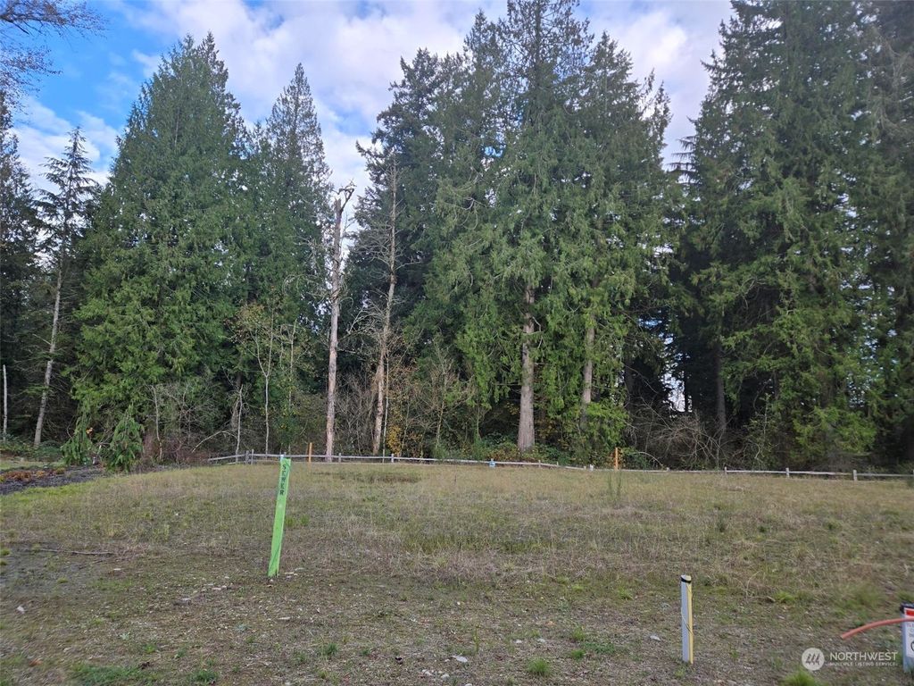 Photo of 33858 Site 215 Calla Lilly Place SE, Black Diamond, WA 98010 (MLS # 2306470)