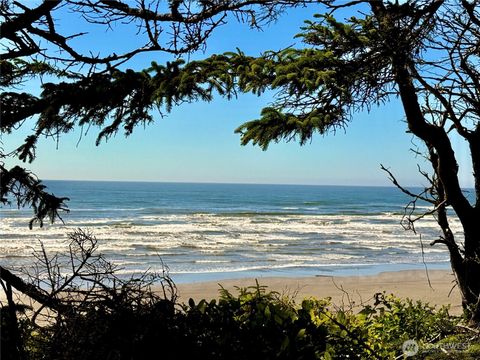 57 Koala Lane Pacific Beach WA 98571