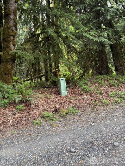 Photo of 0 Upper Frost Creek Road, Maple Falls, WA 98266 (MLS # 2555049)