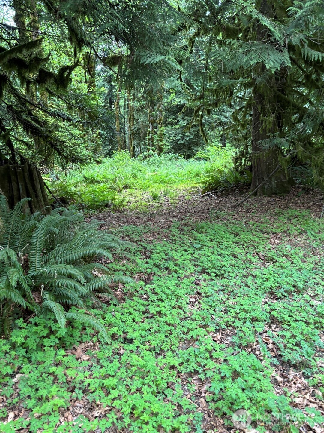 0 Upper Frost Creek Road