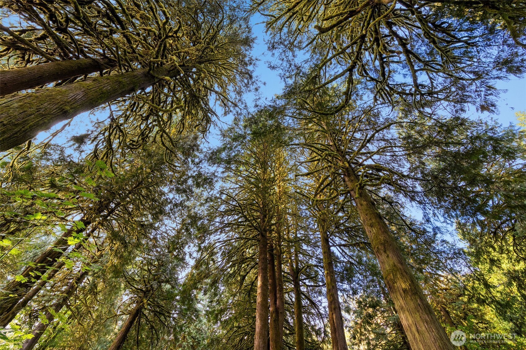 0 NE Cedar Creek Road