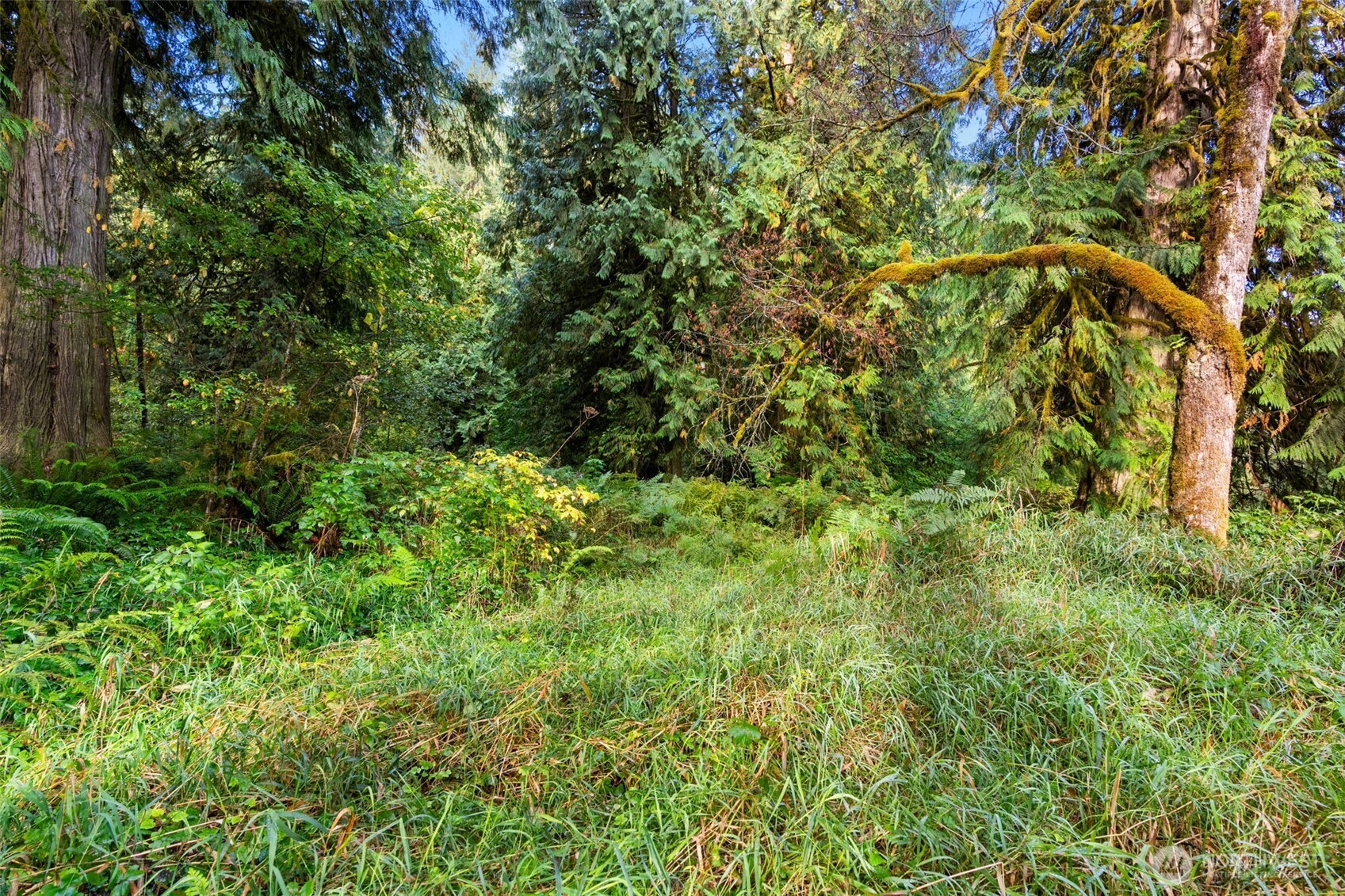 0 NE Cedar Creek Road