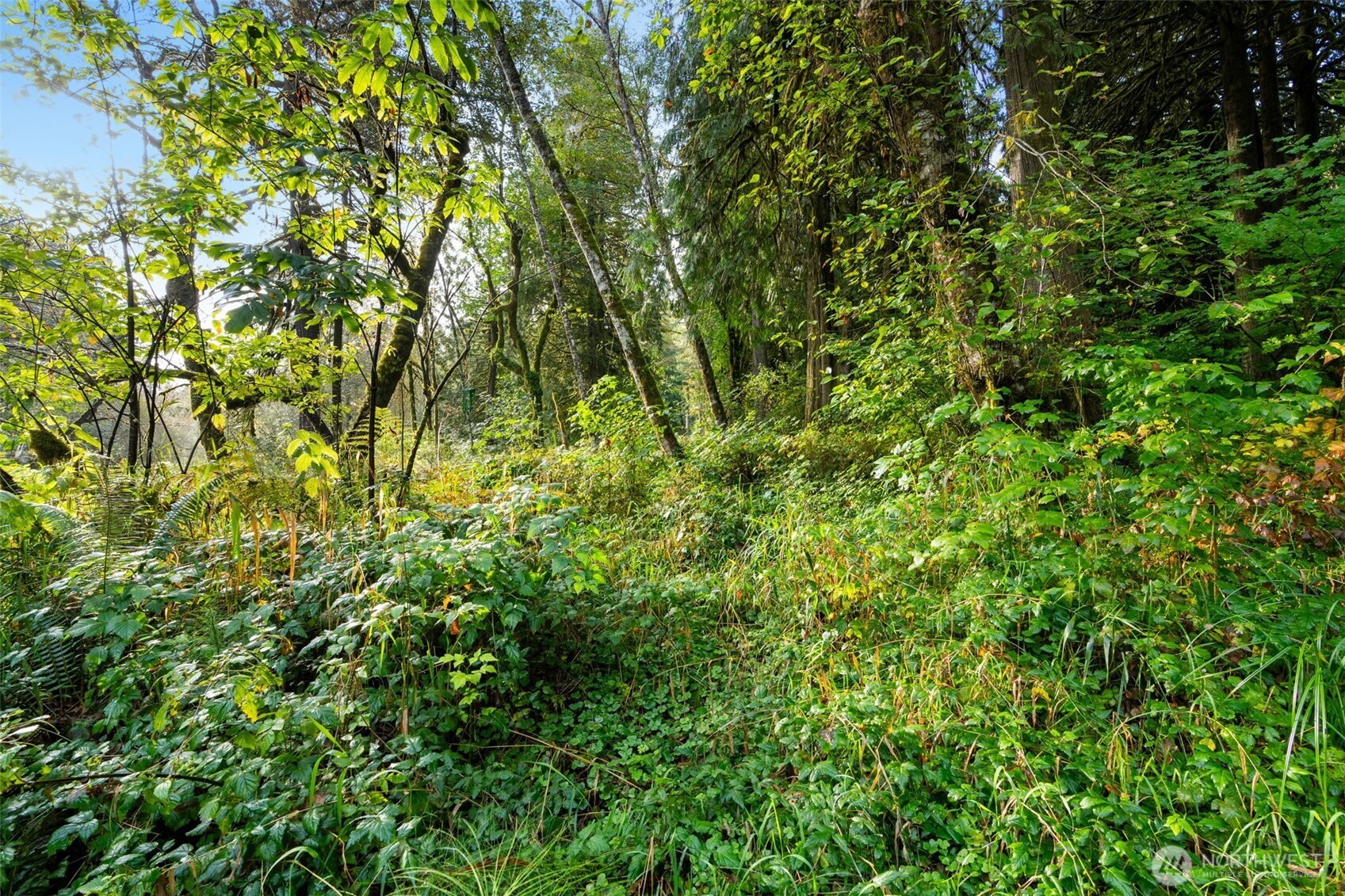 0 NE Cedar Creek Road