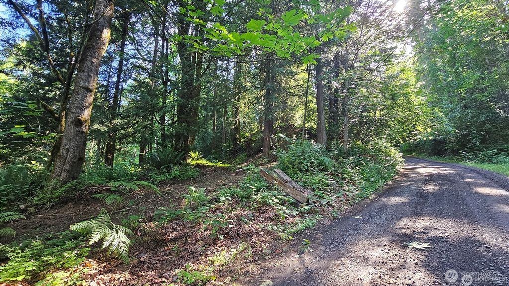 Photo of 216 XX Little Valley Road NE, Poulsbo, WA 98370 (MLS # 2469855)
