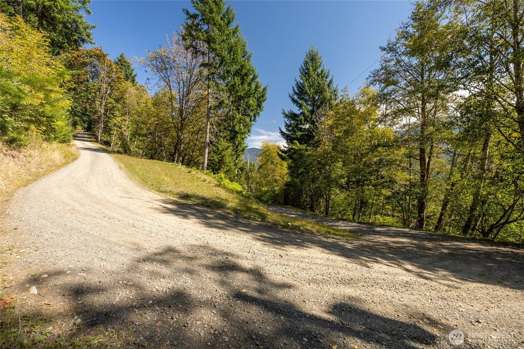 Photo of 199 Hinkle Tinkle Lane LN, Packwood, WA 98361 (MLS # 2587124)