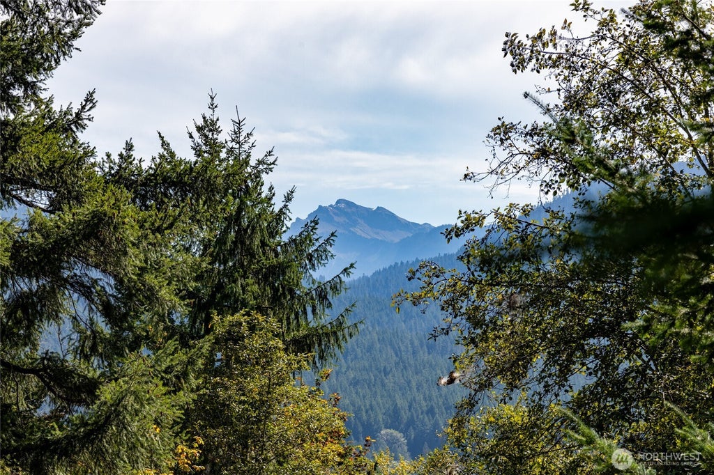 Photo of 199 Hinkle Tinkle Lane LN, Packwood, WA 98361 (MLS # 2587124)
