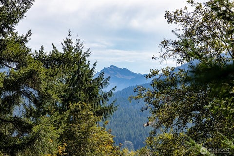 Photo of 199 Hinkle Tinkle Lane LN, Packwood, WA 98361 (MLS # 2587124)