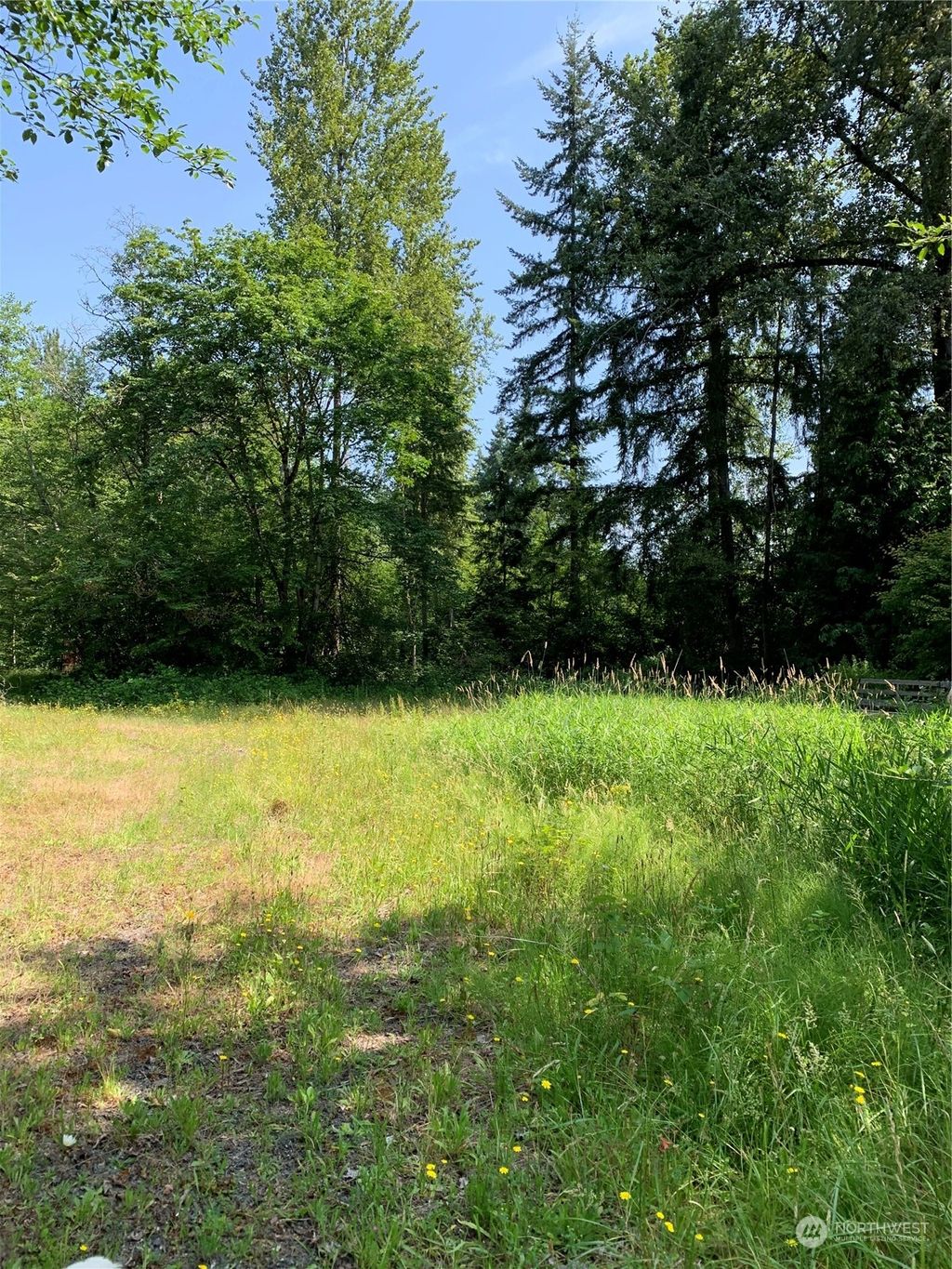 Photo of 18004 SE Petrovitsky Road, Renton, WA 98058 (MLS # 2131483)