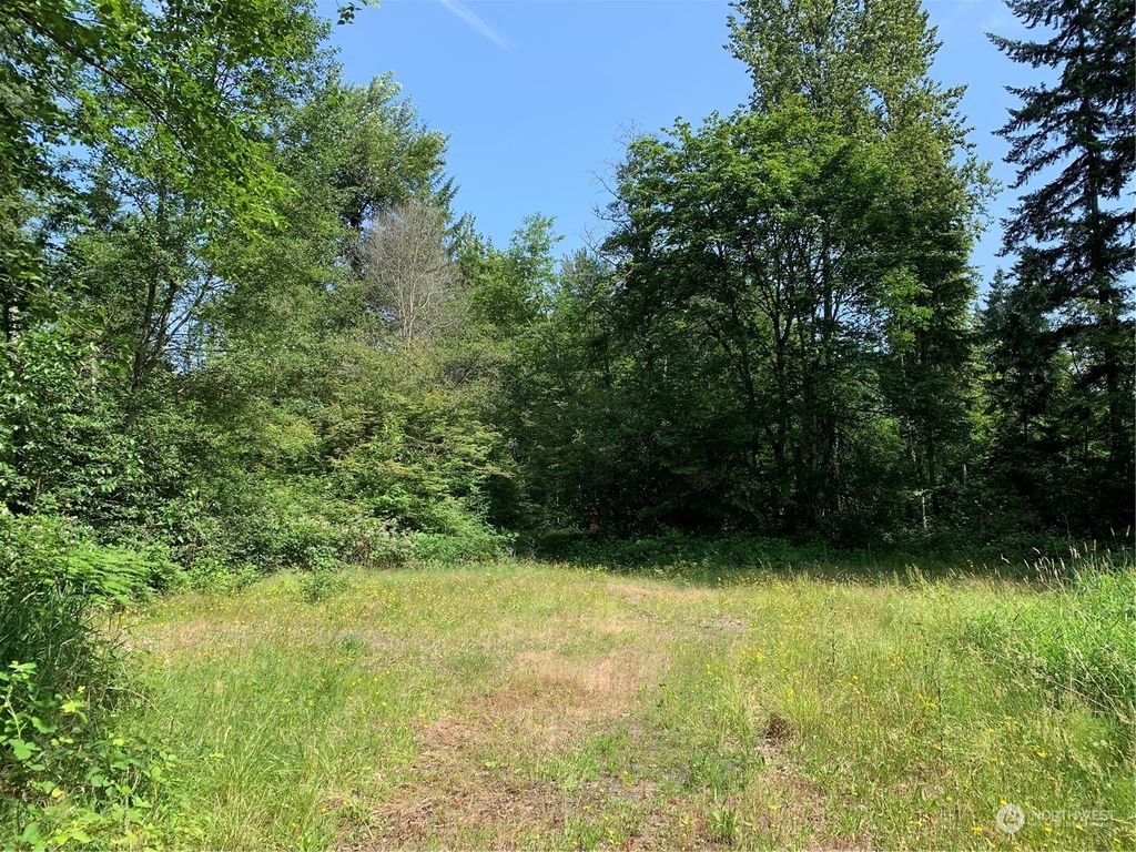 Photo of 18004 SE Petrovitsky Road, Renton, WA 98058 (MLS # 2131483)