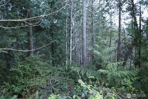 0 Tax Id #  932100615 & 93210061 Brinnon WA 98320