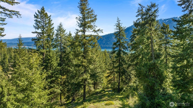 40 Newport Creek Loop
