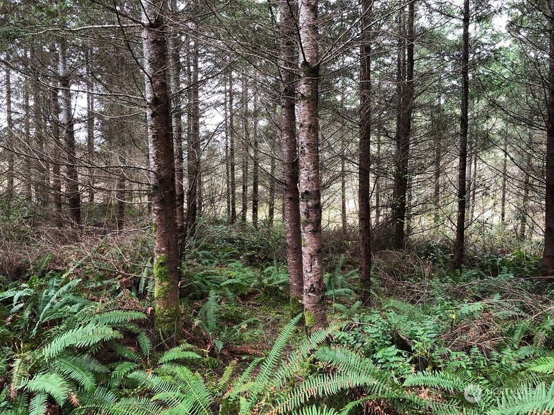 217 Thompson Creek Road