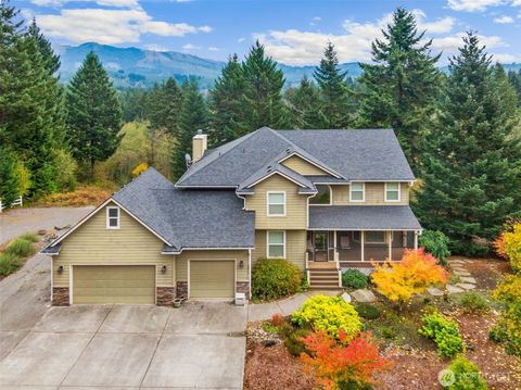 Photo of 7311 NE 317th Place, Camas, WA 98607 (MLS # 2439212)