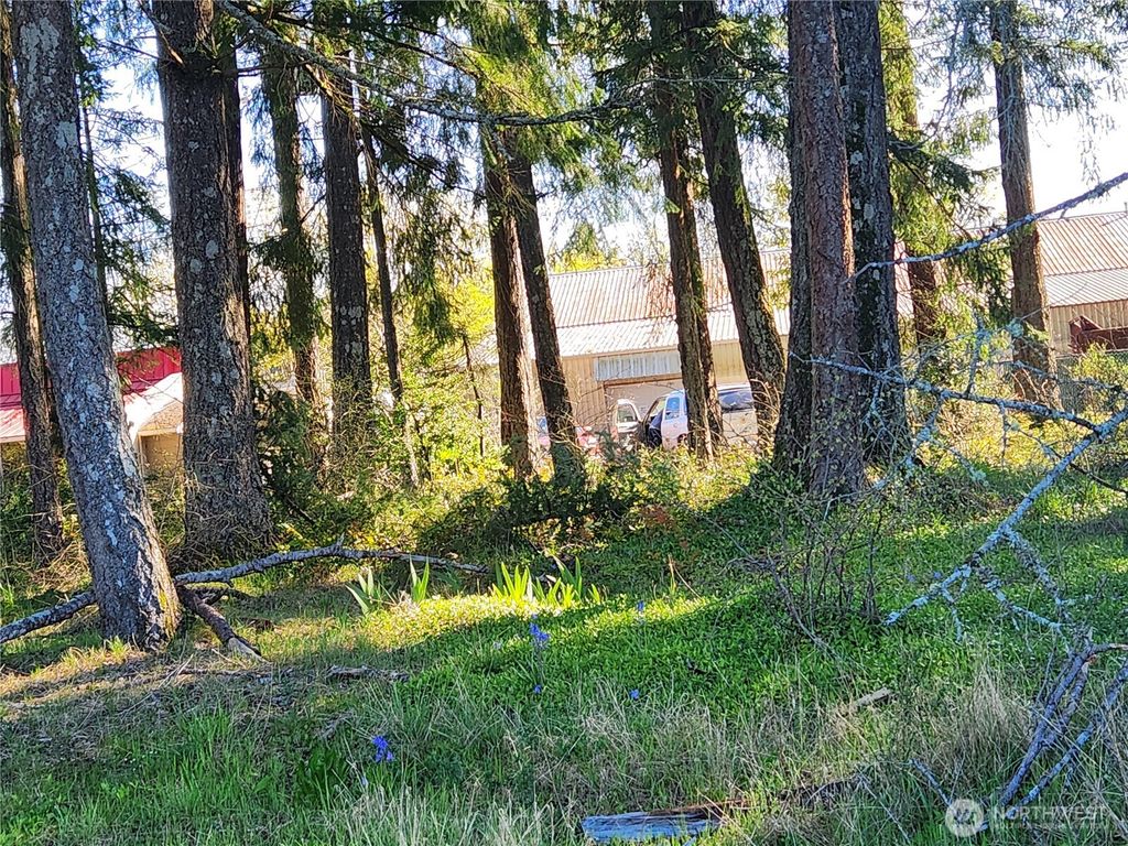 Photo of 0 Adams Street, Shelton, WA 98584 (MLS # 2508970)