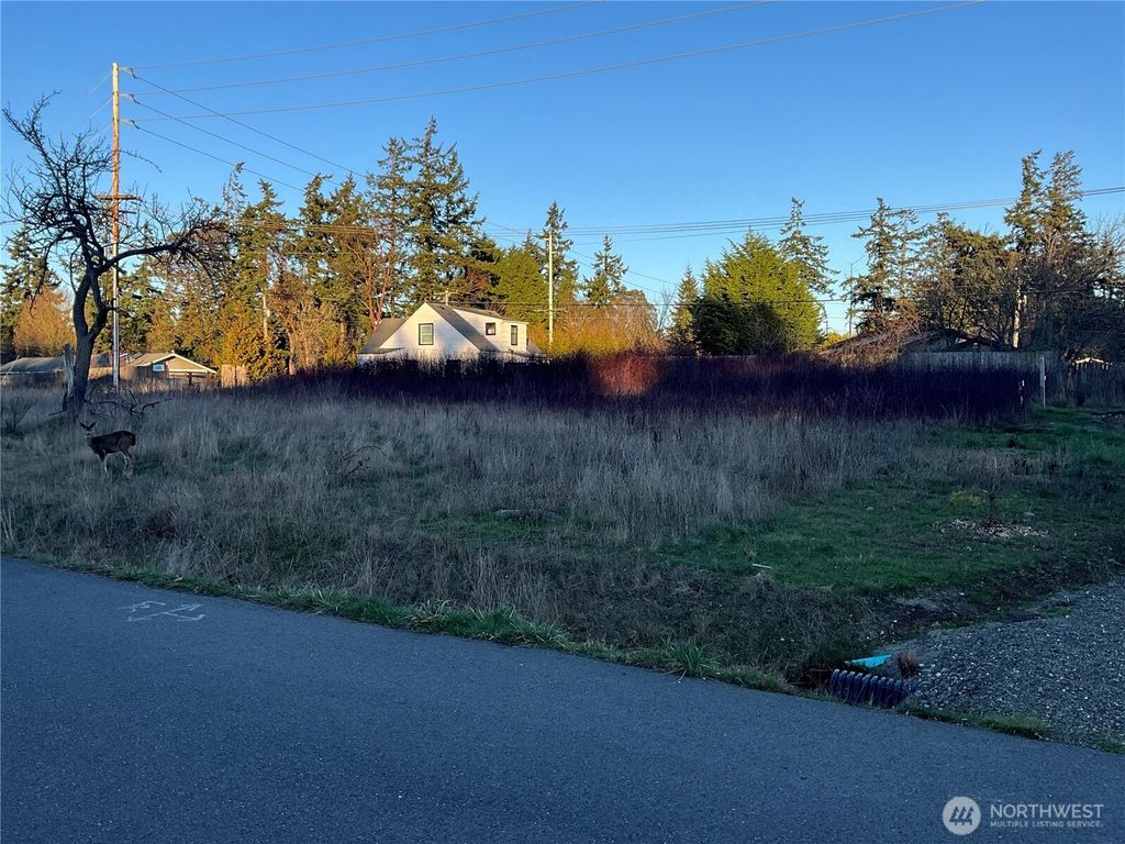 Photo of 20 NKA Aurora Loop, Port Townsend, WA 98368 (MLS # 2478976)