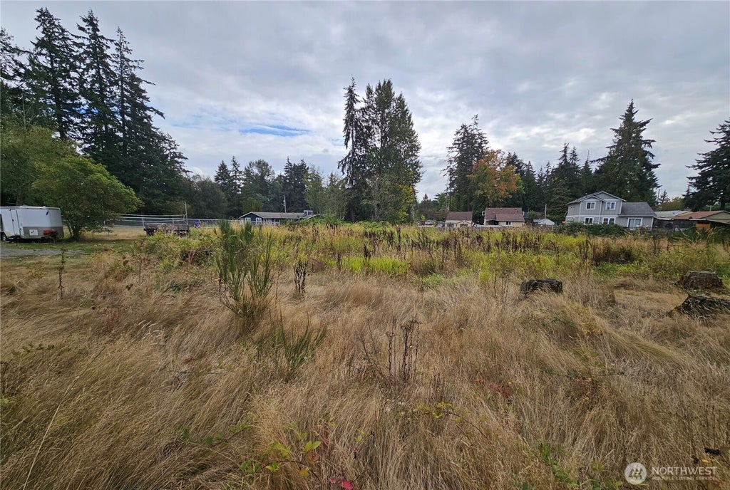 Photo of 9114 E E Street, Tacoma, WA 98445 (MLS # 2585093)