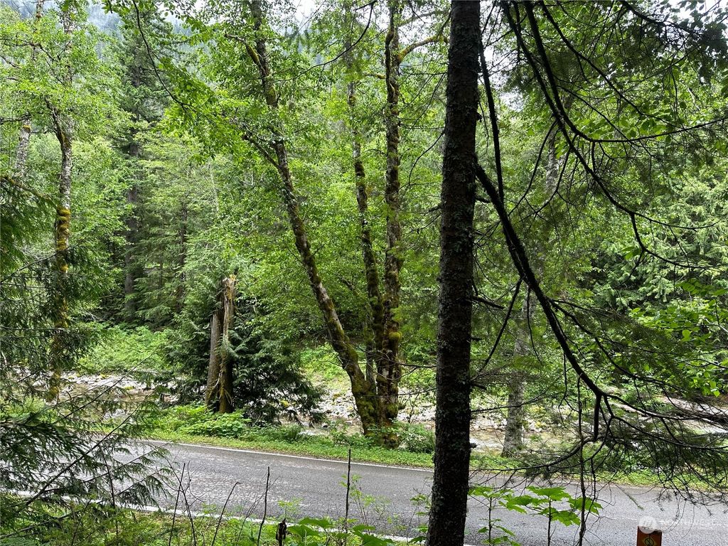 Photo of 87434 Old Cascade Highway, Skykomish, WA 98288 (MLS # 2259433)