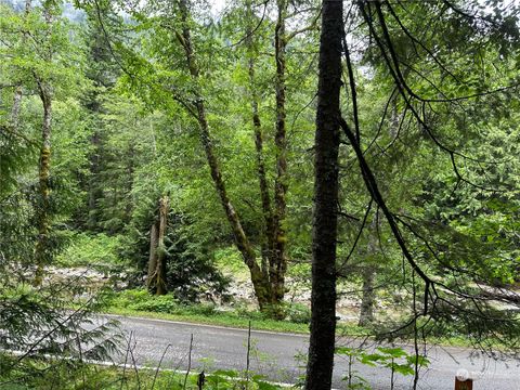 87434 Old Cascade Highway Skykomish WA 98288