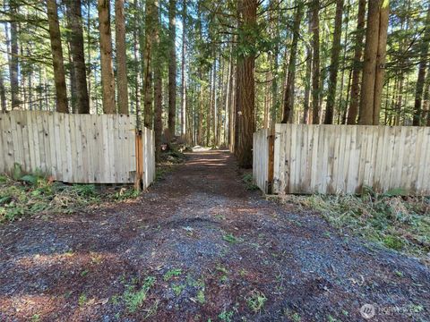 Photo of 56207 E Kernahan RD Rd, Ashford, WA 98304 (MLS # 2506769)