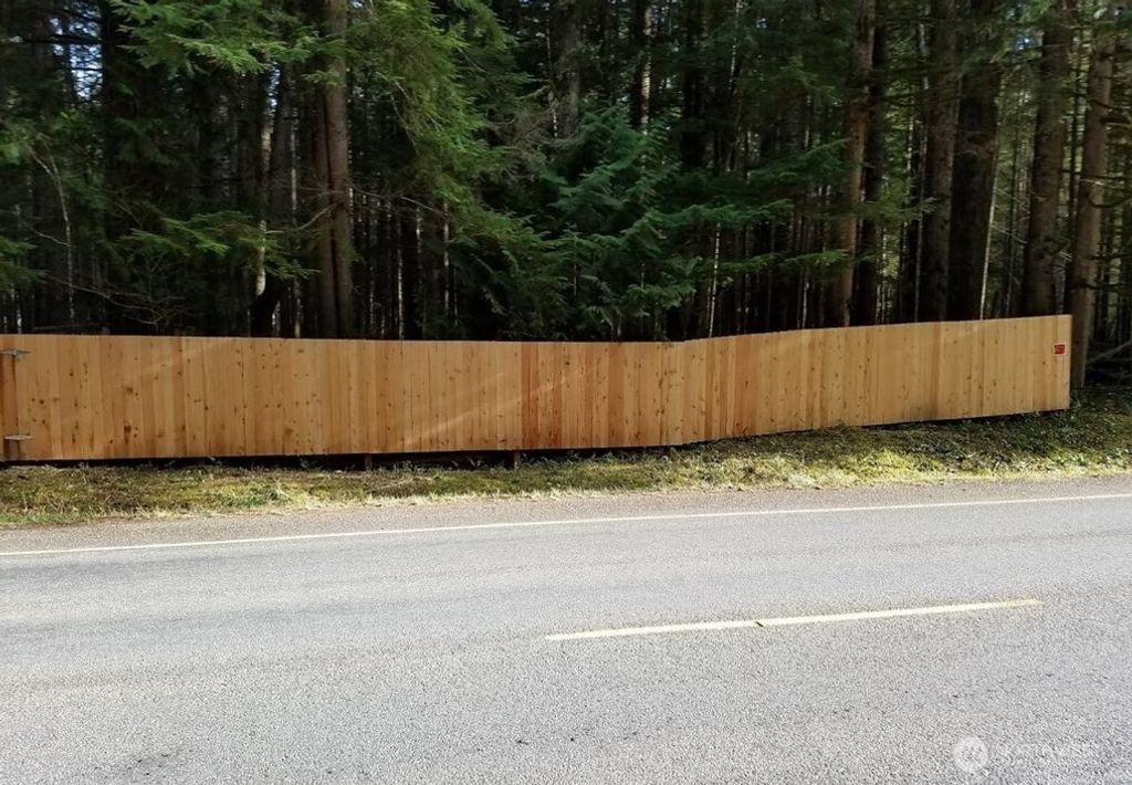 Photo of 56207 E Kernahan RD Rd, Ashford, WA 98304 (MLS # 2506769)