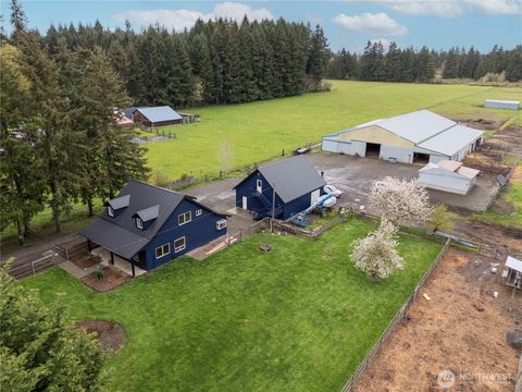 Photo of 295 Kangas Road, Toledo, WA 98591 (MLS # 2507216)