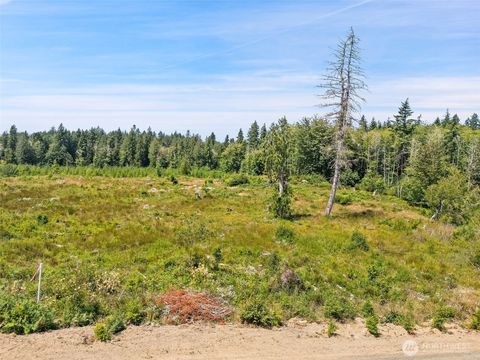 Photo of 0 Tr 3 SE Wellswood Way, Shelton, WA 98584 (MLS # 2463264)