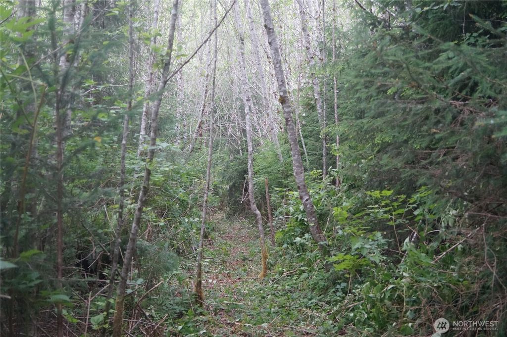 listing image 9366619478695008731
