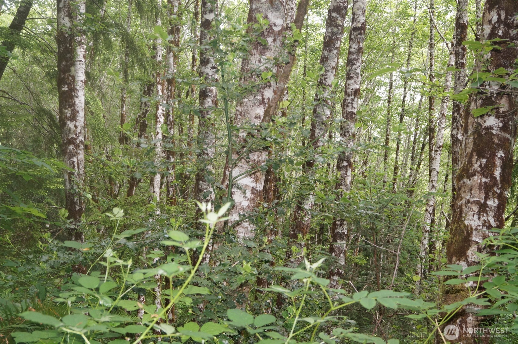 0 Panhandle Road