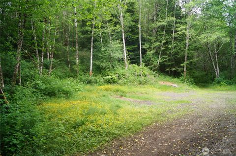 0 Panhandle Road Hoquiam WA 98550