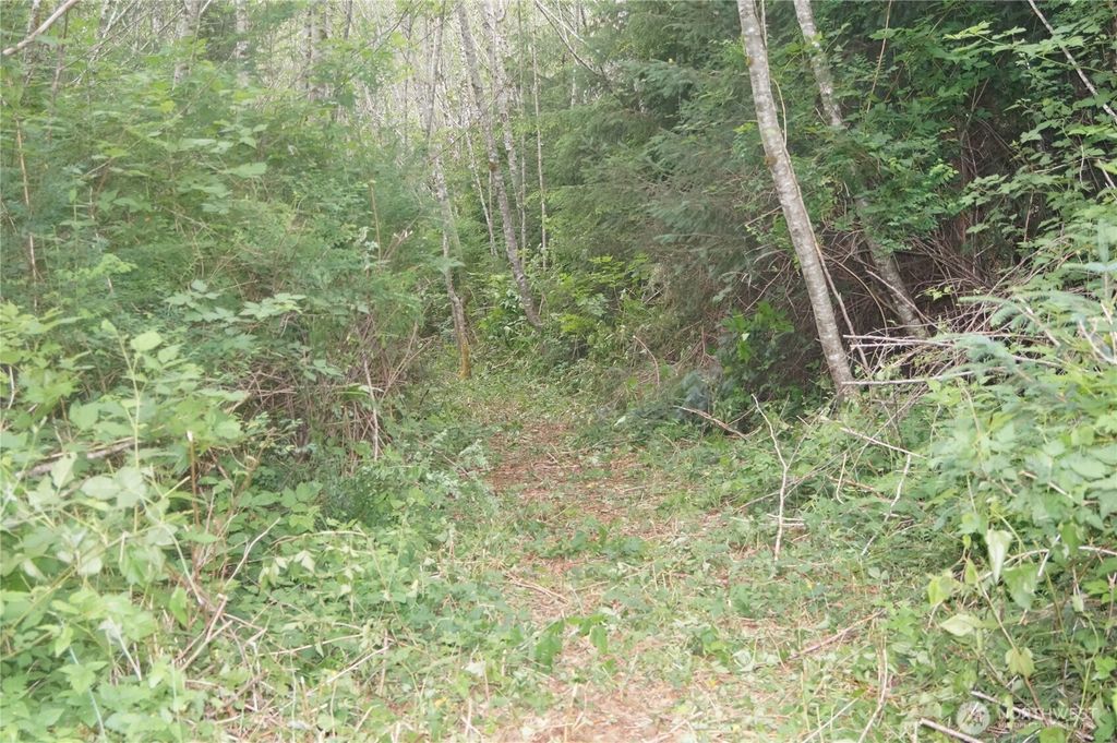 listing image 9366615680230618193